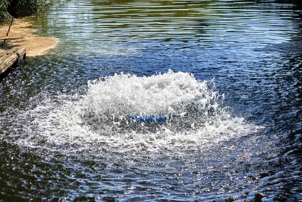 size compressor for pond